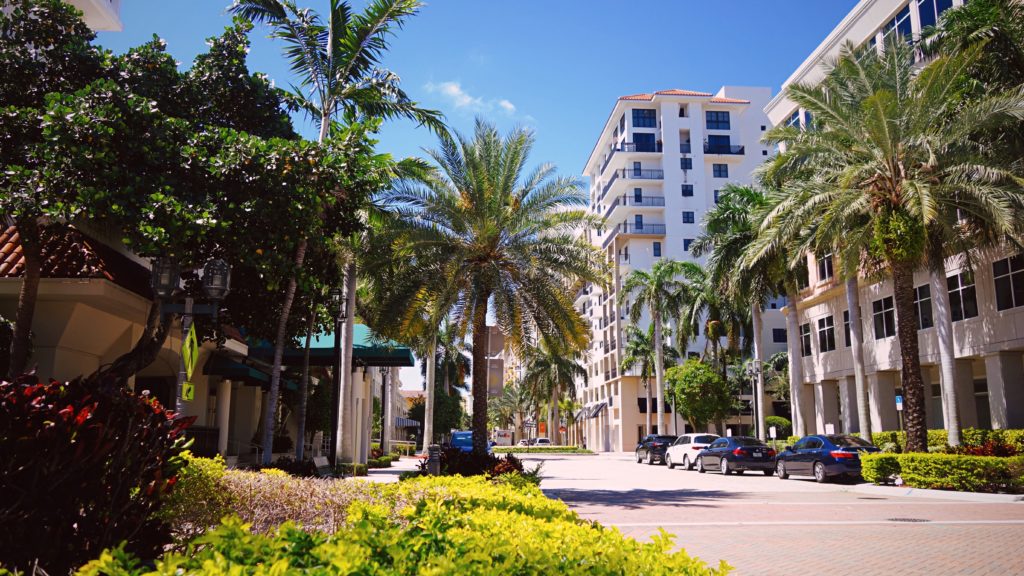 Boca Raton palms and apartments